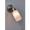 Spot mural Reality Acier inoxydable, Blanc, 1 lumière