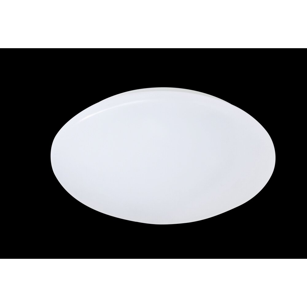 Plafonnier Reality Putz LED Blanc, 1 lumière main product photo