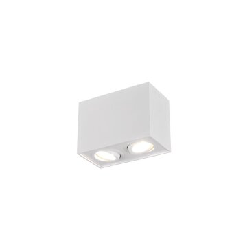 Plafonnier Trio Leuchten BISCUIT Blanc, 2 lumières