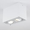 Plafonnier Baishan LED Blanc, 2 lumières