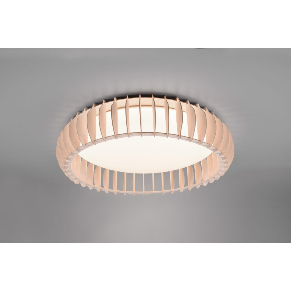 Plafonnier Reality Monte LED Blanc, 1 lumière, Télécommandes main product photo