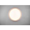 Plafonnier Reality Monte LED Blanc, 1 lumière, Télécommandes