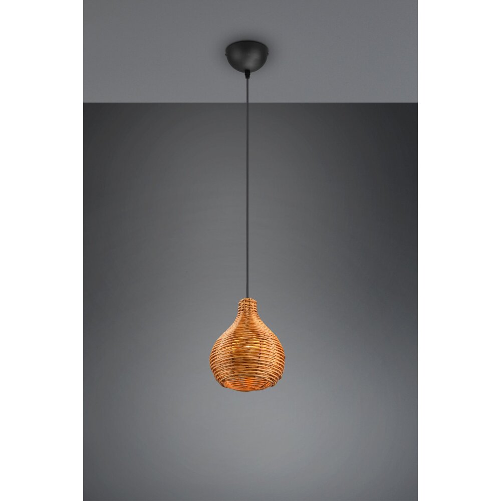 Suspension Reality Sprout Noir, 1 lumière main product photo