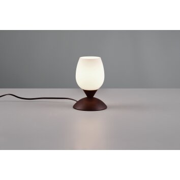 Lampe de table Reality Cup 2 Rouille, 1 lumière Lampe de table Reality Cup 2 Rouille, 1 lumière