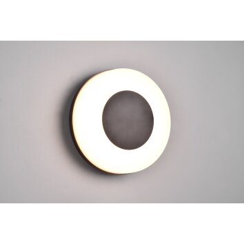 Applique murale d'extérieur Reality Morena LED Noir, Blanc, 1 lumière Applique murale d'extérieur Reality Morena LED Noir, Blanc, 1 lumière