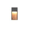 SALMON Applique murale Luminaires Trio LED Bois clair, 1 lumière