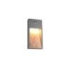 SALMON Applique murale Luminaires Trio LED Bois clair, 1 lumière, Détecteur de mouvement