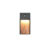 SALMON Applique murale Luminaires Trio LED Bois clair, 1 lumière, Détecteur de mouvement