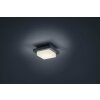 Decken- Plafonnier, Applique murale Luminaires Trio LED Anthracite, 1 lumière