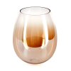 Vevino Verre de rechange, pièce de rechange Ambre, Clair