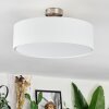 Foggia Plafonnier Nickel mat, 3 lumières