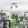 Edain Plafonnier, Spot de plafond LED Chrome, Nickel mat, 2 lumières