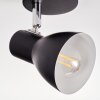 Farel Plafonnier, Spot de plafond Chrome, Noir, 1 lumière