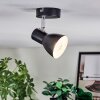 Farel Plafonnier, Spot de plafond Chrome, Noir, 1 lumière