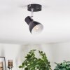 Farel Plafonnier, Spot de plafond Chrome, Noir, 1 lumière