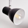 Farel Plafonnier, Spot de plafond Chrome, Noir, 4 lumières