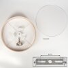 Foggia Plafonnier Nickel mat, 3 lumières