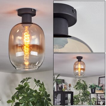 Apedo Plafonnier Ambre, Clair, 1 lumière