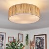 Foggia Plafonnier Nickel mat, 3 lumières