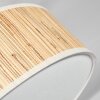 Foggia Plafonnier Nickel mat, 3 lumières