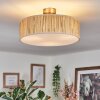 Foggia Plafonnier Nickel mat, 3 lumières