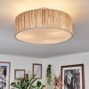 Foggia Plafonnier Nickel mat, 3 lumières