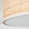 Foggia Plafonnier Nickel mat, 3 lumières