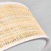 Foggia Plafonnier Nickel mat, 3 lumières
