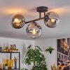 Gastor Plafonnier, Boule lumineuse Clair, Fumé, 3 lumières