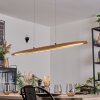 Fugelsta Suspension, Suspension LED Noir, 1 lumière