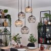 Ripoll Suspension, Boule lumineuse, Suspension grappe Ambre, Clair, Fumé, 5 lumières