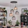 Ripoll Suspension, Boule lumineuse, Suspension grappe Ambre, Clair, Fumé, 5 lumières