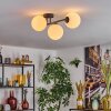 Gastor Plafonnier, Boule lumineuse Blanc, 3 lumières