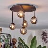 Chehalis Plafonnier, Boule lumineuse Fumé, 5 lumières