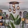 Chehalis Plafonnier, Boule lumineuse Fumé, 5 lumières