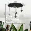 Chehalis Plafonnier, Boule lumineuse Clair, 5 lumières