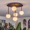Chehalis Plafonnier, Boule lumineuse Blanc, 5 lumières