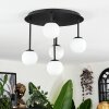 Chehalis Plafonnier, Boule lumineuse Blanc, 5 lumières