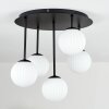 Chehalis Plafonnier, Boule lumineuse Blanc, 5 lumières