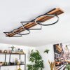 Pompu Plafonnier LED Bois foncé, Noir, 1 lumière