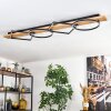 Pompu Plafonnier LED Bois clair, Noir, 1 lumière