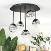 Chehalis Plafonnier, Boule lumineuse Clair, Fumé, 5 lumières