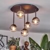 Chehalis Plafonnier, Boule lumineuse Clair, Fumé, 5 lumières
