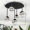 Chehalis Plafonnier, Boule lumineuse Clair, Fumé, 5 lumières