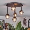 Chehalis Plafonnier, Boule lumineuse Clair, Fumé, 5 lumières