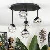 Chehalis Plafonnier, Boule lumineuse Clair, Fumé, 5 lumières