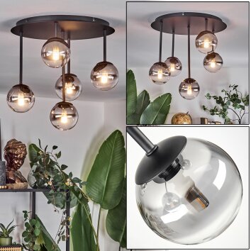 Chehalis Plafonnier, Boule lumineuse Clair, Fumé, 5 lumières Chehalis Plafonnier, Boule lumineuse Clair, Fumé, 5 lumières