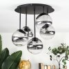 Chehalis Plafonnier, Boule lumineuse Clair, Fumé, 5 lumières