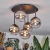 Chehalis Plafonnier, Boule lumineuse Clair, Fumé, 5 lumières