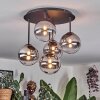 Chehalis Plafonnier, Boule lumineuse Clair, Fumé, 5 lumières